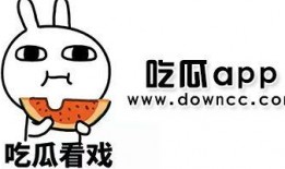 吃瓜网红企鹅,揭秘娱乐圈背后的秘密